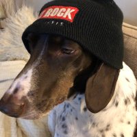 Betty Boo’s Mum - Tracy 🐾 : 🇬🇧 (@tracykboo) 's Twitter Profile Photo Betty Boo’s Mum - Tracy 🐾 : 🇬🇧 (@tracykboo) 's Twitter Profile Photo