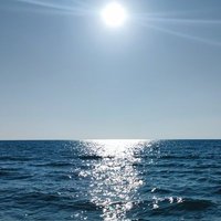 the way back (@tothewayback) 's Twitter Profile
