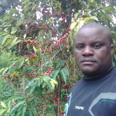 twesimev's profile picture. The quick brown fox jumped over the lazy dogs