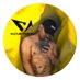 Courtney Portnoy (@vulturyyaakov) Twitter profile photo Courtney Portnoy (@vulturyyaakov) Twitter profile photo