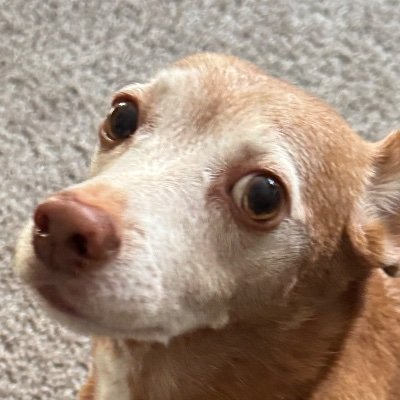 IllumiZxl27299's profile picture. 