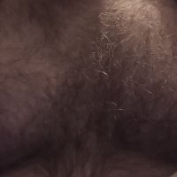 UK-Mature-Bear (@uk_mature_bear) 's Twitter Profile