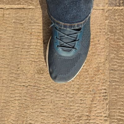 Ariakoochike's profile picture. حق با شماست دوست عزیز🙏