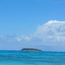 Luis Pereda - @LuisPereda13079 - Twitter