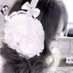 ౨ৎ (@dollldiary) Twitter profile photo ౨ৎ (@dollldiary) Twitter profile photo