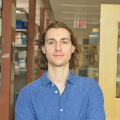 HHMI Fellow of the Damon Runyon Foundation in the Rudensky lab @MSKCancerCenter | Former Boehringer Ingelheim Fonds PhD Fellow in @victora_lab @RockefellerUniv