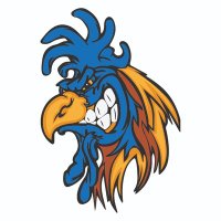 Millonarios FC (Hincha Azul) (@millosfc) 's Twitter Profile