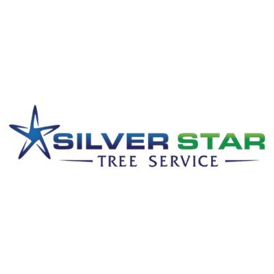 silverstartree's profile picture. 