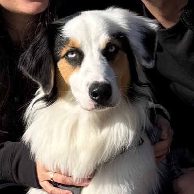 spring_ra7's profile picture. 🇦🇷🇧🇷