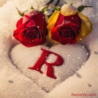 أبو حسام (@rashid_altouqi) Twitter profile photo