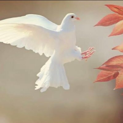 raphbriggs17's profile picture. Opinions never mattered !!!  😌