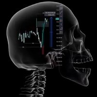Demo_Trading (@demotrading_) 's Twitter Profile