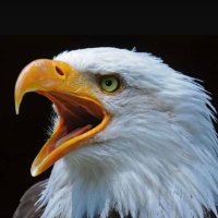 Burak (@burak1212) 's Twitter Profile