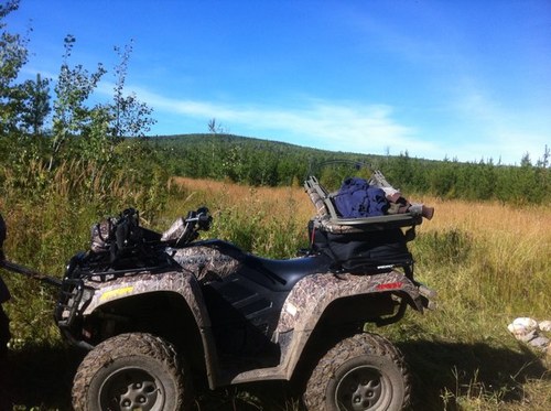 MurrayHanch's profile picture. 