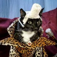 Rhuby Rod (@gatodecolor22) 's Twitter Profile Photo Rhuby Rod (@gatodecolor22) 's Twitter Profile Photo