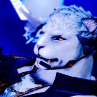 Mohu (@mohu0701) 's Twitter Profile Photo