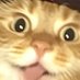 wiz purr (@wiz_purr) Twitter profile photo wiz purr (@wiz_purr) Twitter profile photo