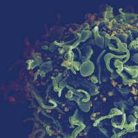 Save PEPFAR (@savepepfarnow) 's Twitter Profile