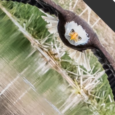 Jacklavergne's profile picture. 