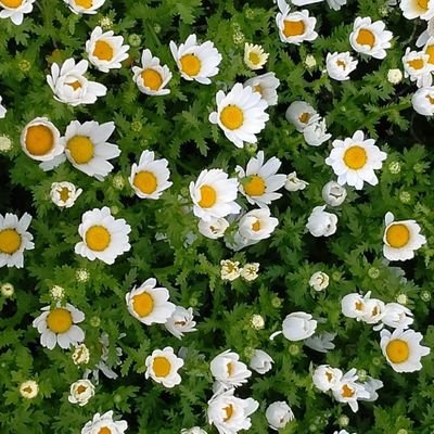 _kaikai_0305's profile picture. 