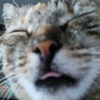ᬊ﹌ ᭕ 「🎧」ˊˏ˒ 𝓜𝓪𝓻 ˓ˋˎ (@marc81008079) 's Twitter Profile