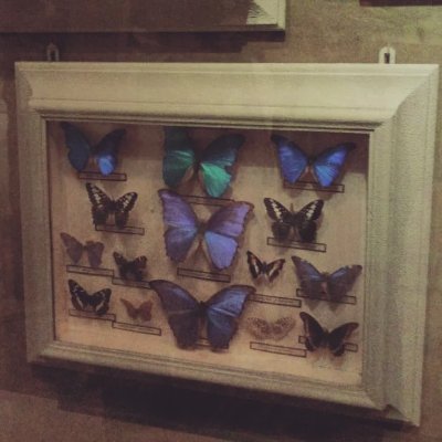 Basmala85922536's profile picture. ♍"
@Stranger_Things 🤩
#freepalestine 🇵🇸
وما توفيقي إلا بالله ❤️