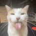 Terq (@itz_terq) Twitter profile photo Terq (@itz_terq) Twitter profile photo