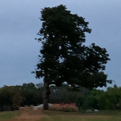 Tornabro1's profile picture. GD Account // Hardest: Thinking Space/Stellar Night 91% // I made Nyutopia