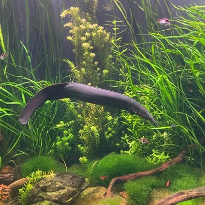 HabtGt's profile picture. ነፍሴ ግን በእግዚአብሔር ደስ ይላታል፥ በማዳኑም ሐሴት ታደርጋለች። HUMANITY FIRST!