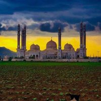 العامري (@lmry480772) 's Twitter Profile