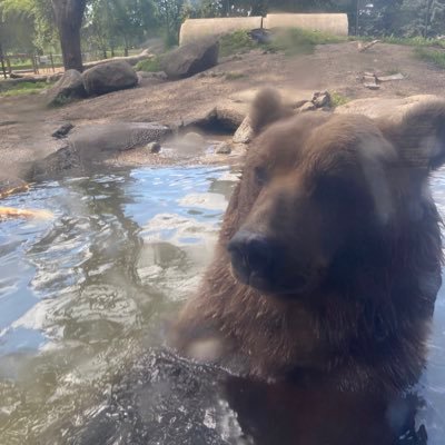 BucjacksonBucj4's profile picture. 