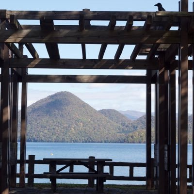 SamVooDang's profile picture. One mountain cannot have two tiger One desk cannot have 2 Presidents @XblueXBirdX@ohai.social