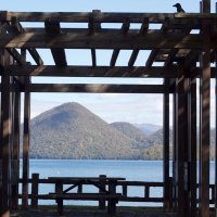 Peaceful Tranquility (@samvoodang) 's Twitter Profile Photo
