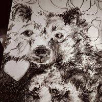 Auntie Pam (@pam_gilber40948) 's Twitter Profile