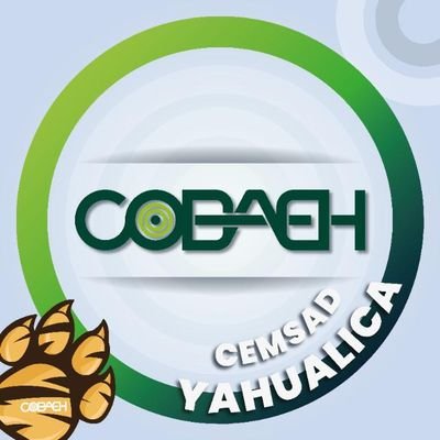 CEMSaDYAHUALICA's profile picture. 