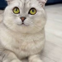 Sasha_Akt2 (@sasha_inakita) 's Twitter Profile Photo Sasha_Akt2 (@sasha_inakita) 's Twitter Profile Photo