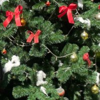 mook🫶 (@chonn2525) 's Twitter Profile