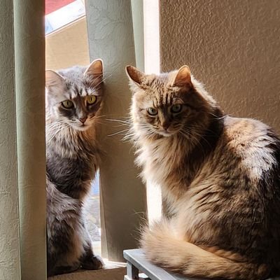 ms56831's profile picture. enjoying life 😀 NO DM's please. 🇺🇸❤️🇺🇸❤️🇺🇸