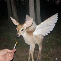 iyi misin ufku? (@hukukensarisin) 's Twitter Profile Photo