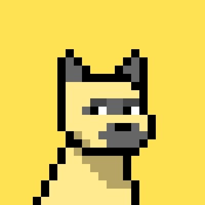 NFT Collector | Crypto Investor | https://t.co/0Q0fUFdEEG Doginal Dog #2975