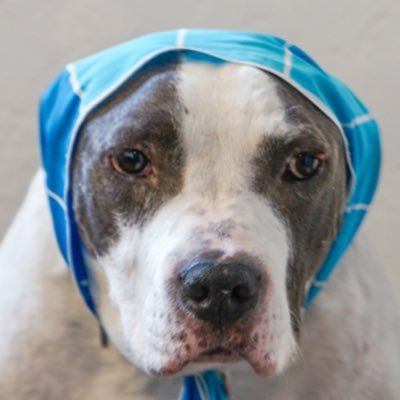 prettylilhunni's profile picture. unimpressed