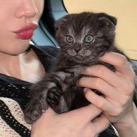 🌻GG_JSY🌼🤍🌈 (@babedaisy_js24) 's Twitter Profile