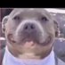 dadannnMMMMMM (@dadanmmmm) Twitter profile photo dadannnMMMMMM (@dadanmmmm) Twitter profile photo