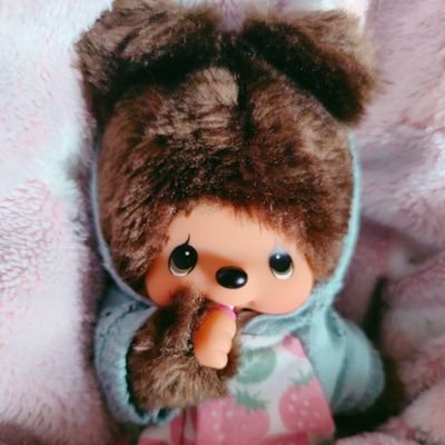 mocomocomg's profile picture. モンチッチだいすきアカウント✌️永遠のぬい撮り初心者📷️家庭感臭漂ってます🏡クマくんとCOLORSくんとベージュM双子ちゃんとチムたんと暮らしています。大人だ〜よ！