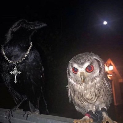 randxmslime's profile picture. 22🇭🇹| Florida 📍| future pilot 👨🏾‍✈️ ✈️PPL•IRA•CAX (CFI soon)