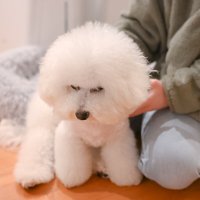 まち (@ma1010mm) 's Twitter Profile Photo まち (@ma1010mm) 's Twitter Profile Photo