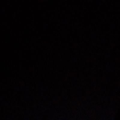 CheckChasser555's profile picture. 