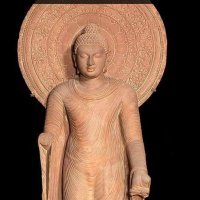 अमरेंद्र वर्मा (@rk3755997) 's Twitter Profile