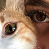 ᗰᗩᖇᗯᗩ ᥫ᭡ (@marwah_tarek_) 's Twitter Profile