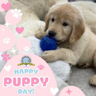 Beauty2852's profile picture. 